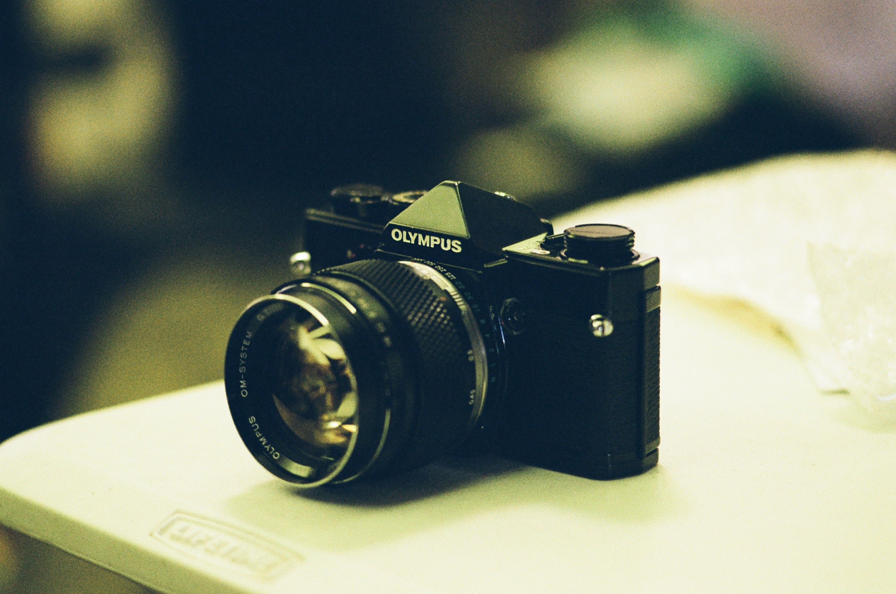 EP6 動物園｜Olympus OM-1 + Kodak ColorPlus 200 彩色底片