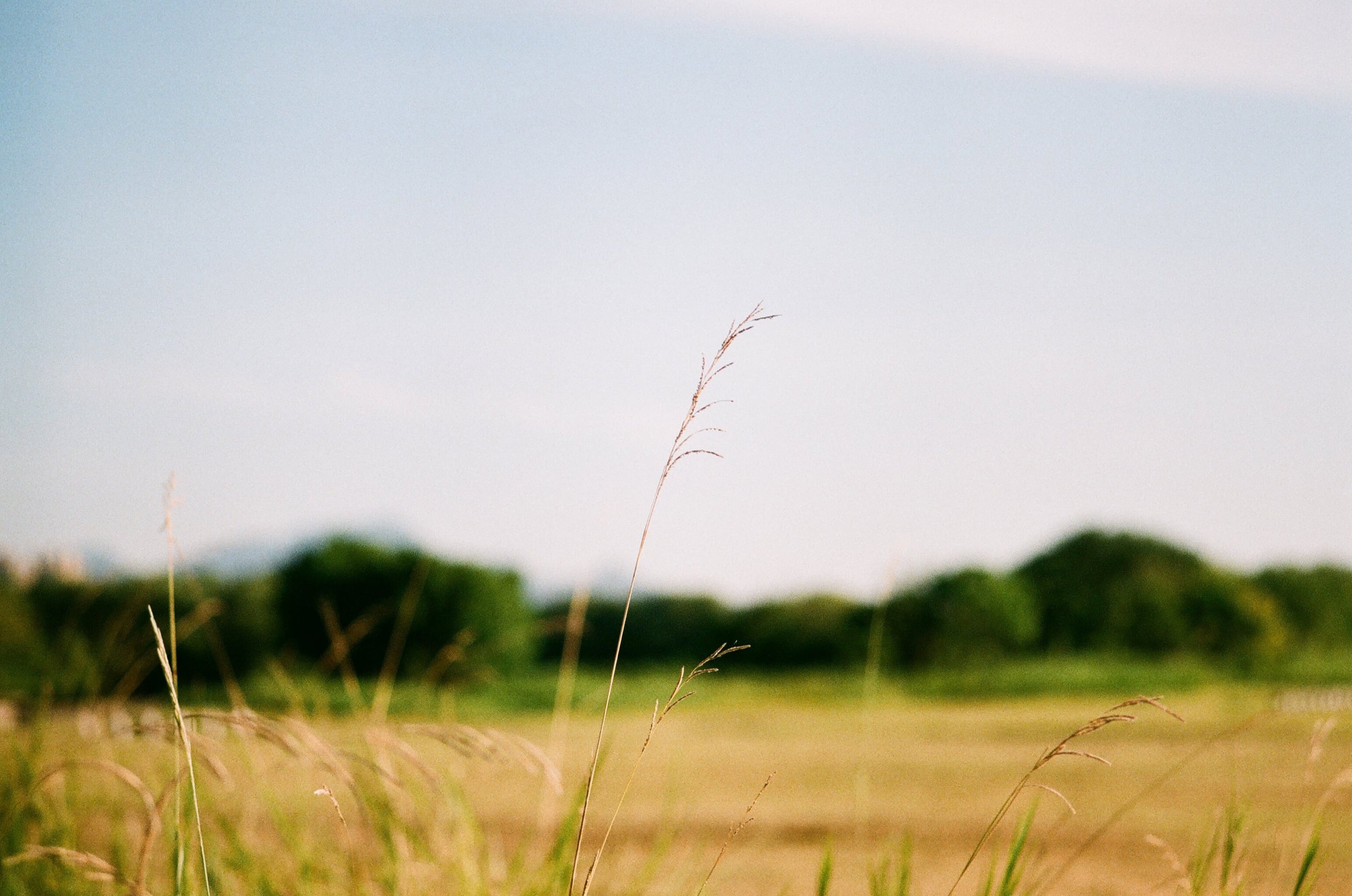 EP16 跑步｜Olympus OM-4 Ti + 美版 Fujifilm Fujicolor C200 彩色底片