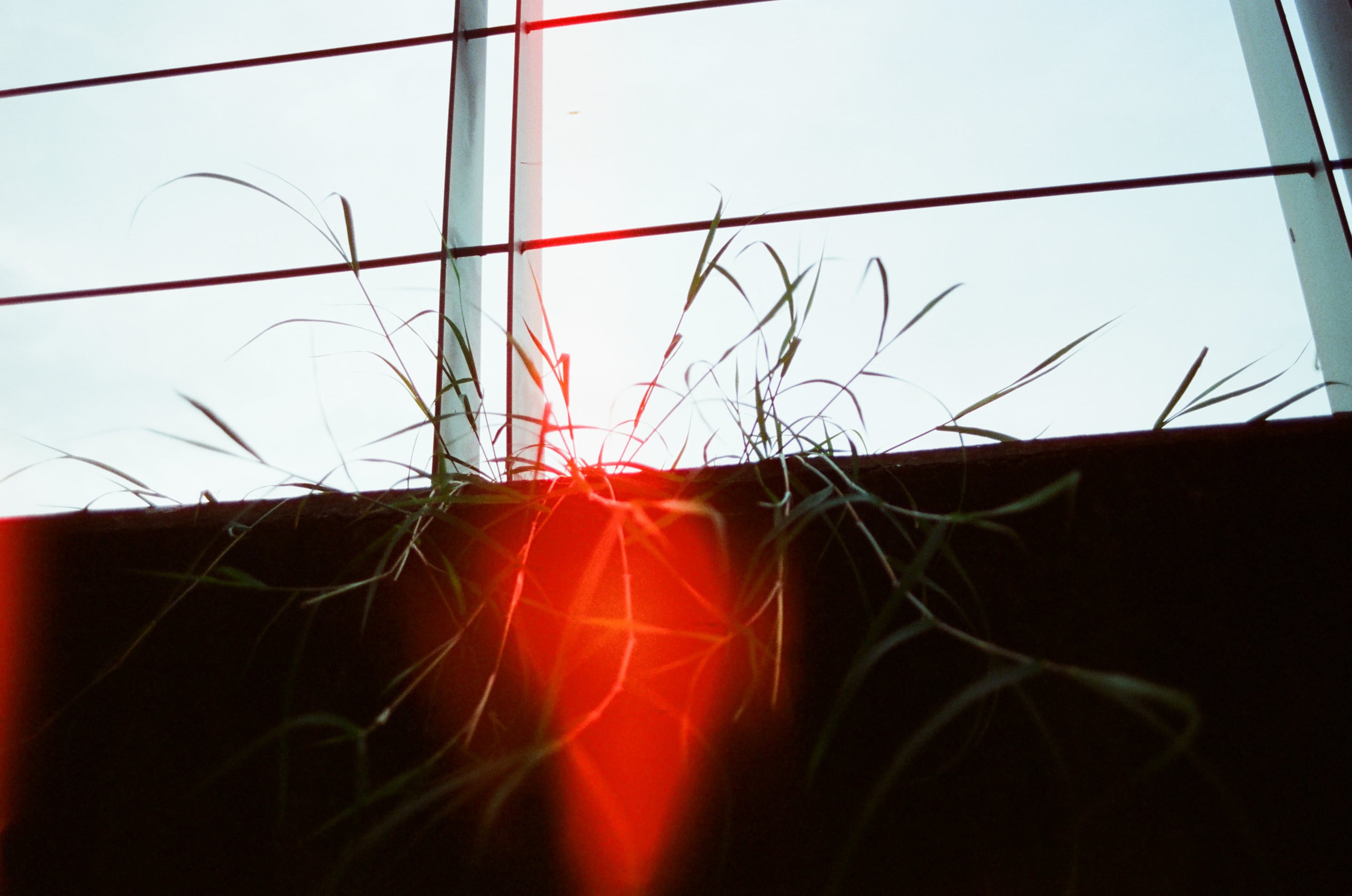 EP24 第一節車廂｜Olympus M-1 + Kodak 250D/5207 除碳電影底片