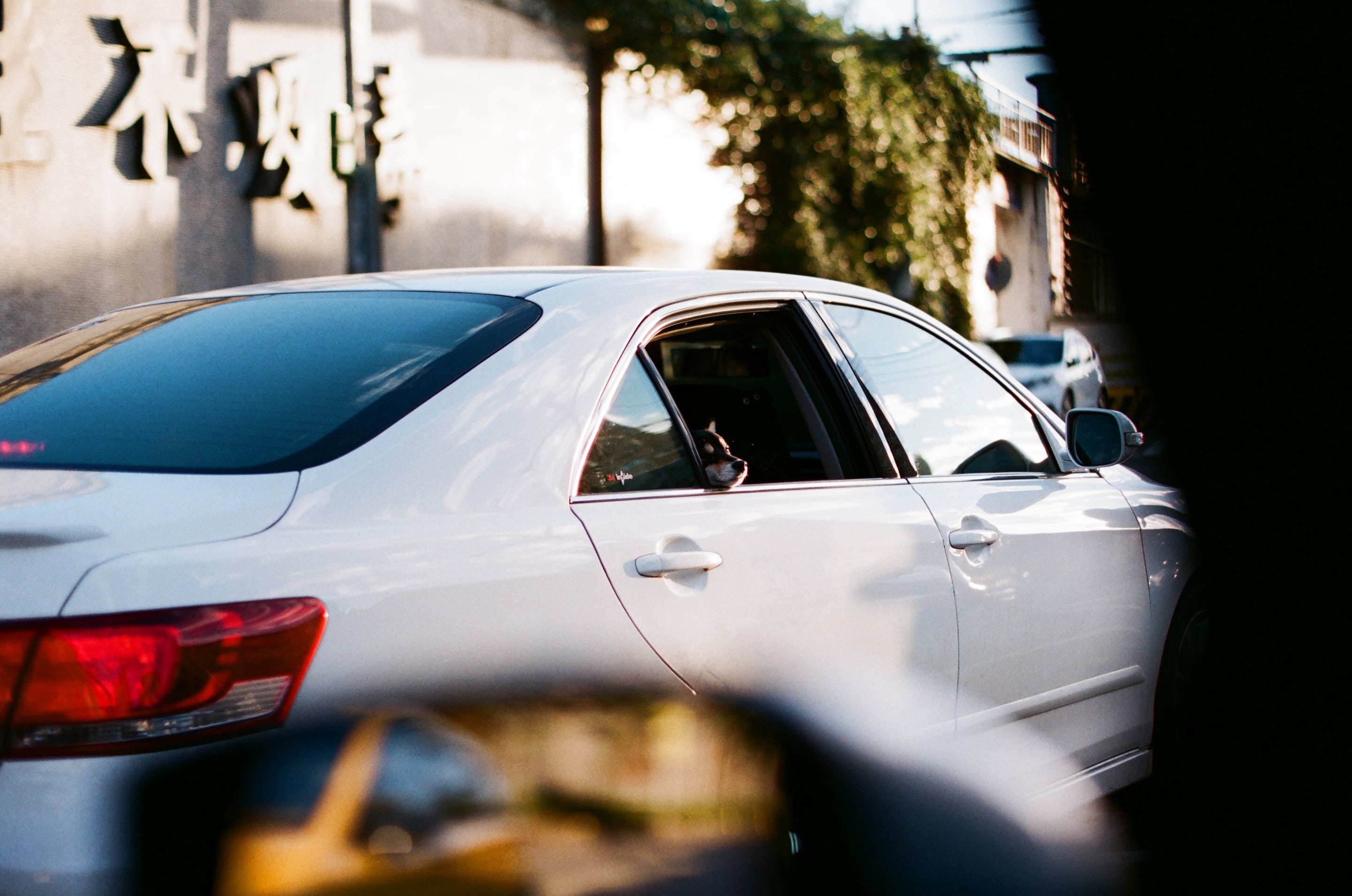 [心得] Olympus OM 50mm f1.2 標準定焦鏡頭介紹