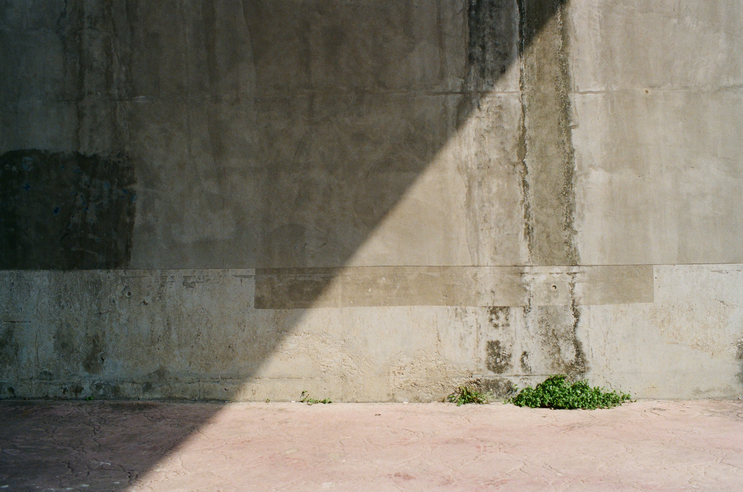 EP58 大光圈的陰謀｜Olympus OM-4 + Lomography 400 彩色底片