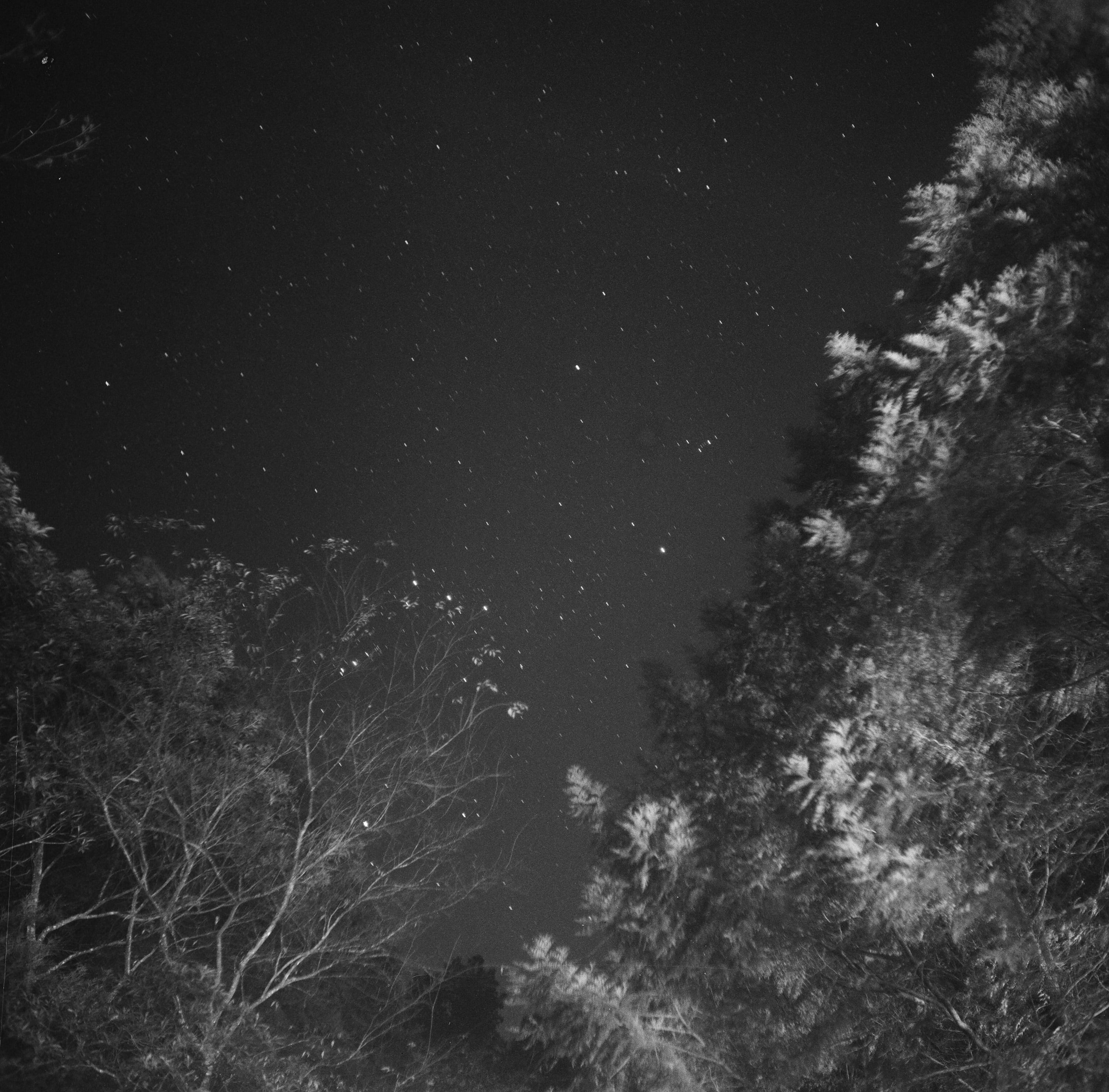 EP56 雙眼星空｜Olympus Flex B II 2.8 + Ilford HP5 Plus 400 黑白底片