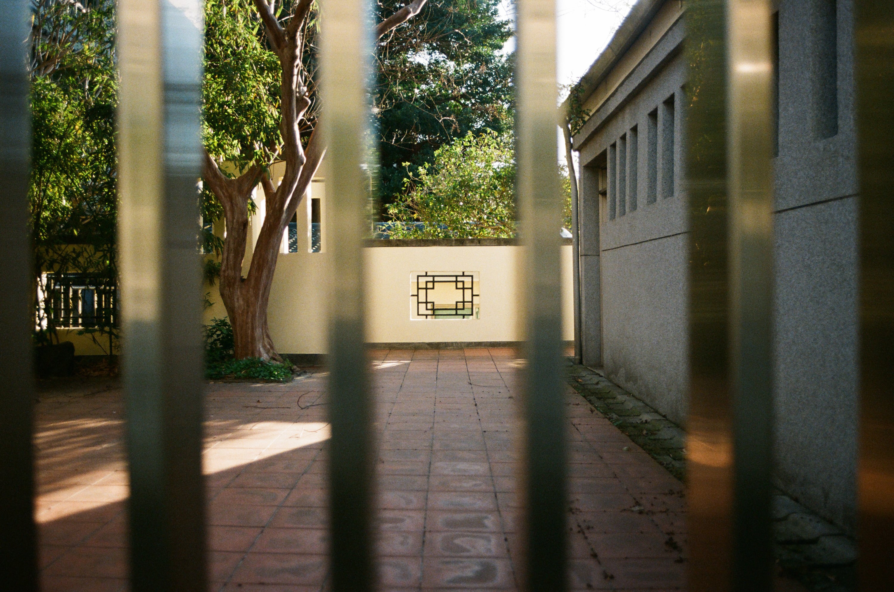 EP63 日常亂跑｜Olympus OM-4 + Lomography 400 彩色底片