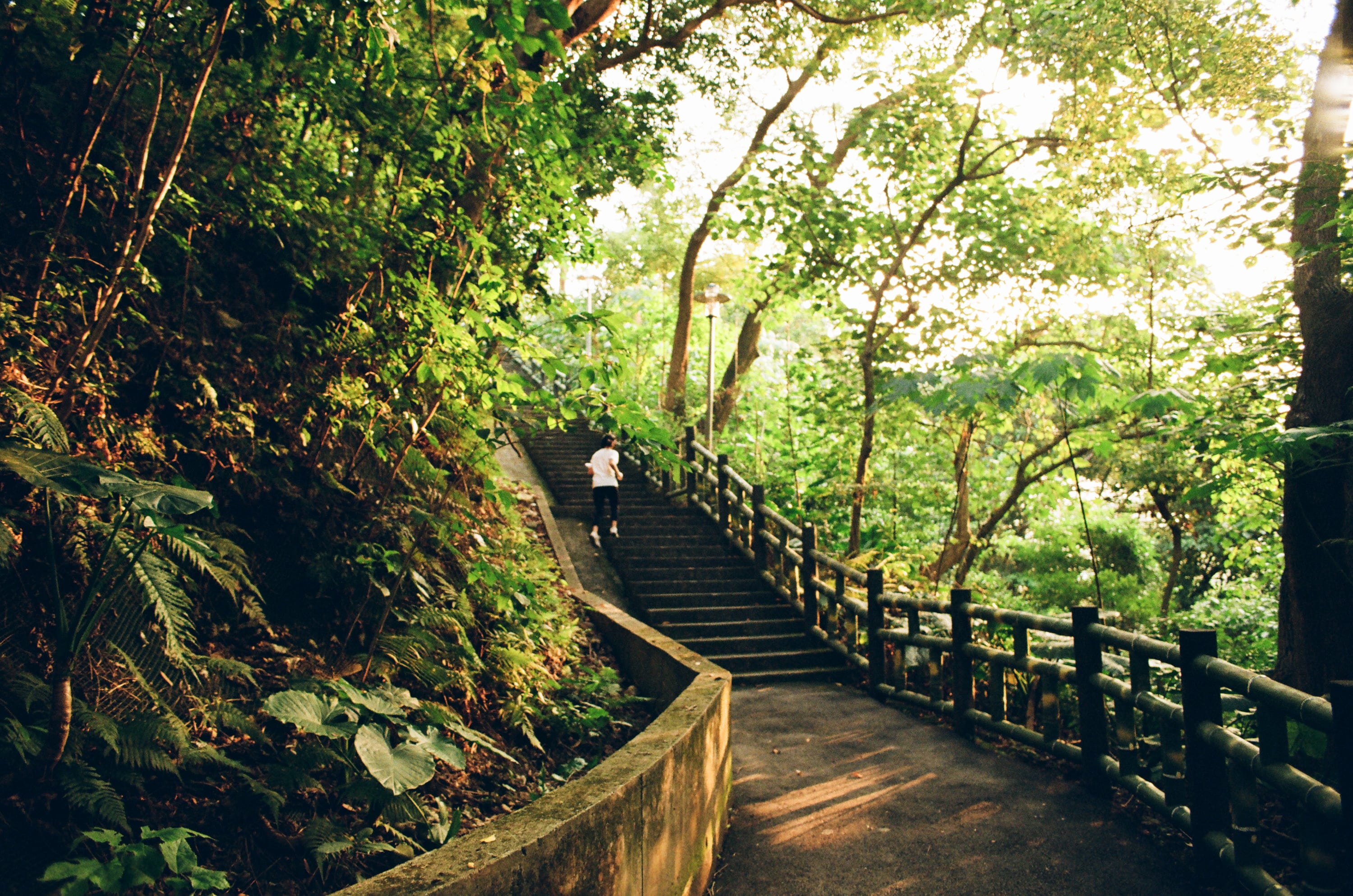 EP75 光線的收藏｜Olympus OM-3 Ti + Kodak Gold 200 彩色底片