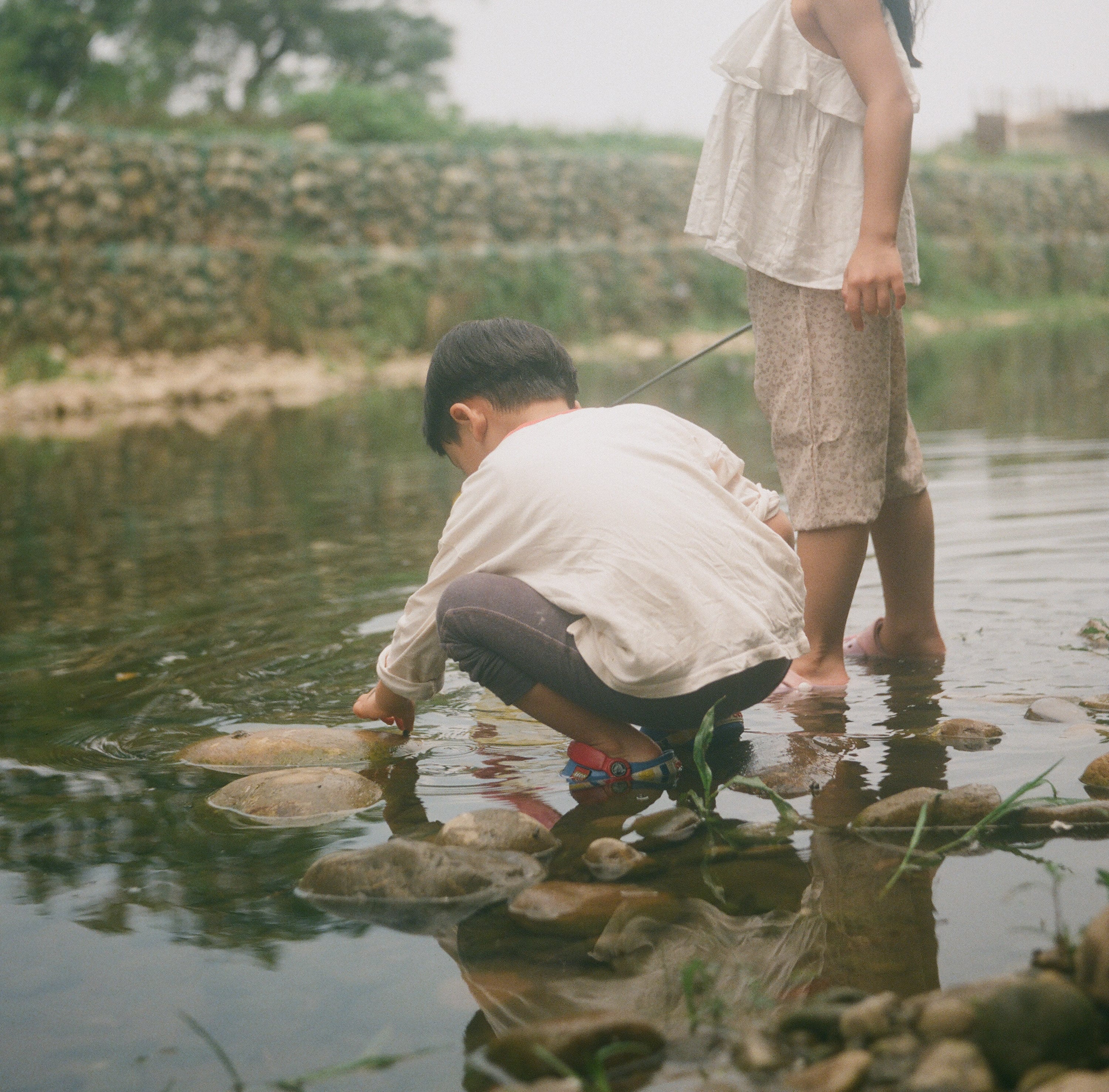 EP79 霧化之鏡｜Olympus Flex A 3.5 II + Lomography 800 彩色底片