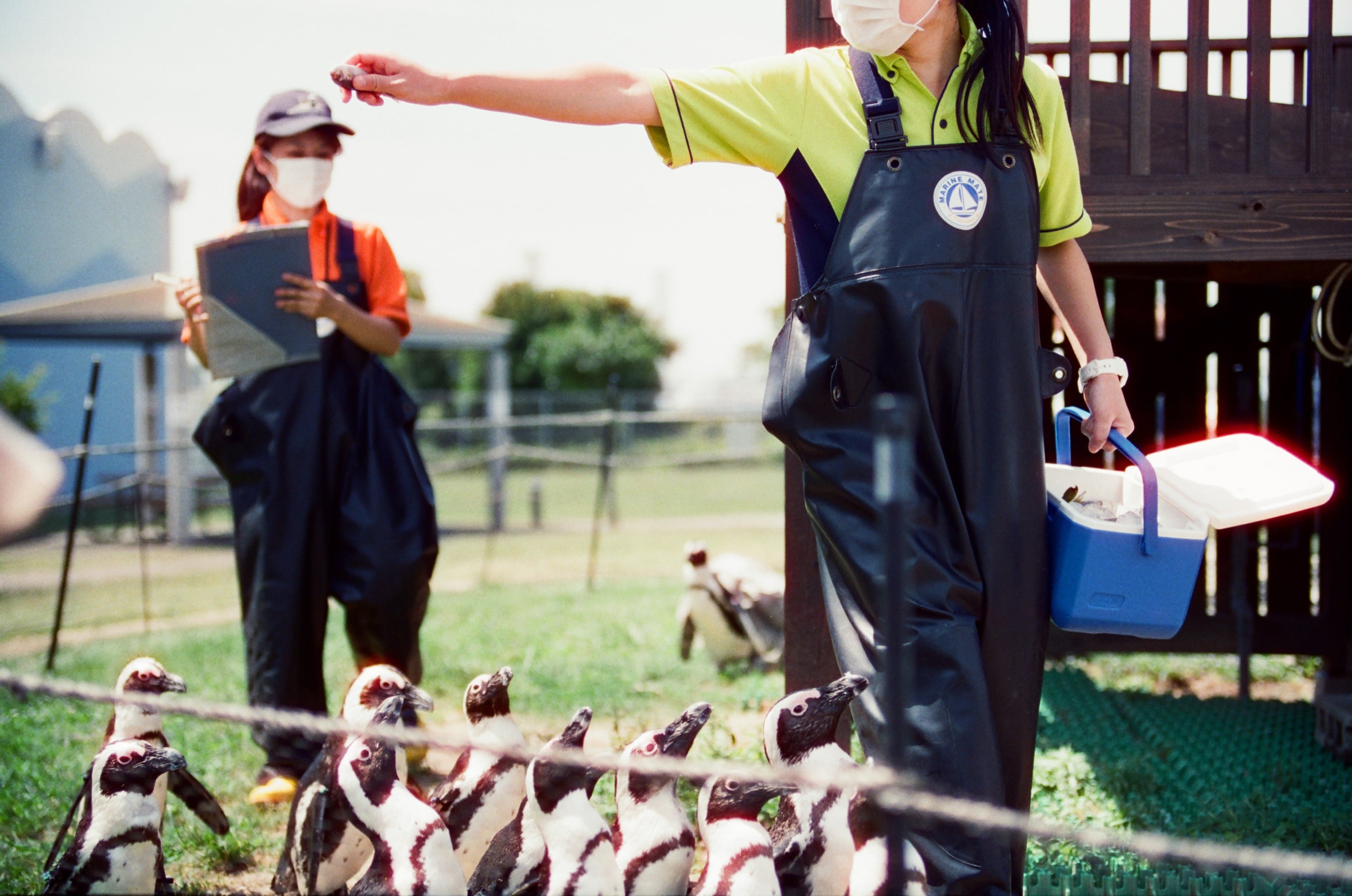 EP97 名古屋水族館｜Olympus OM-3 Ti + Kodak 500T/5219 除碳電影底片