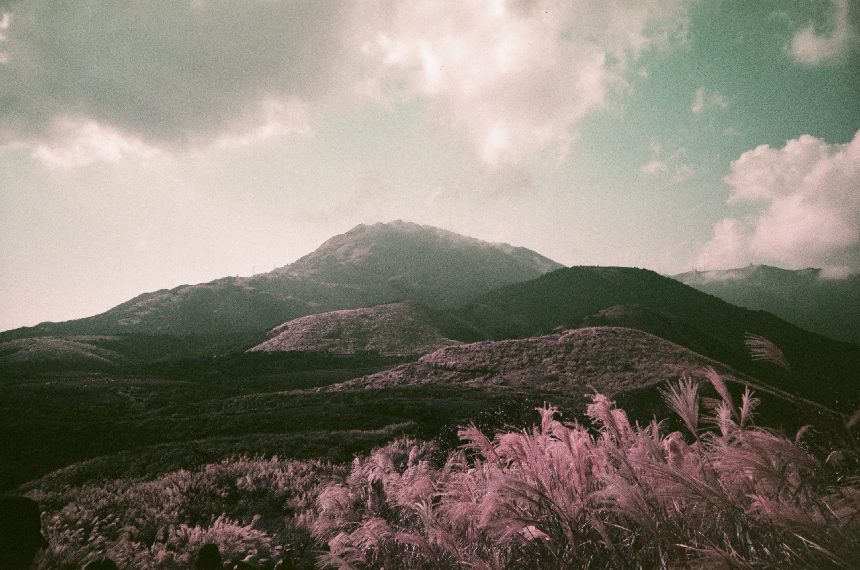 EP141 寫實的夢境｜Lomo LC-A 與 Lomography Purple XR 100-400 135 彩色底片