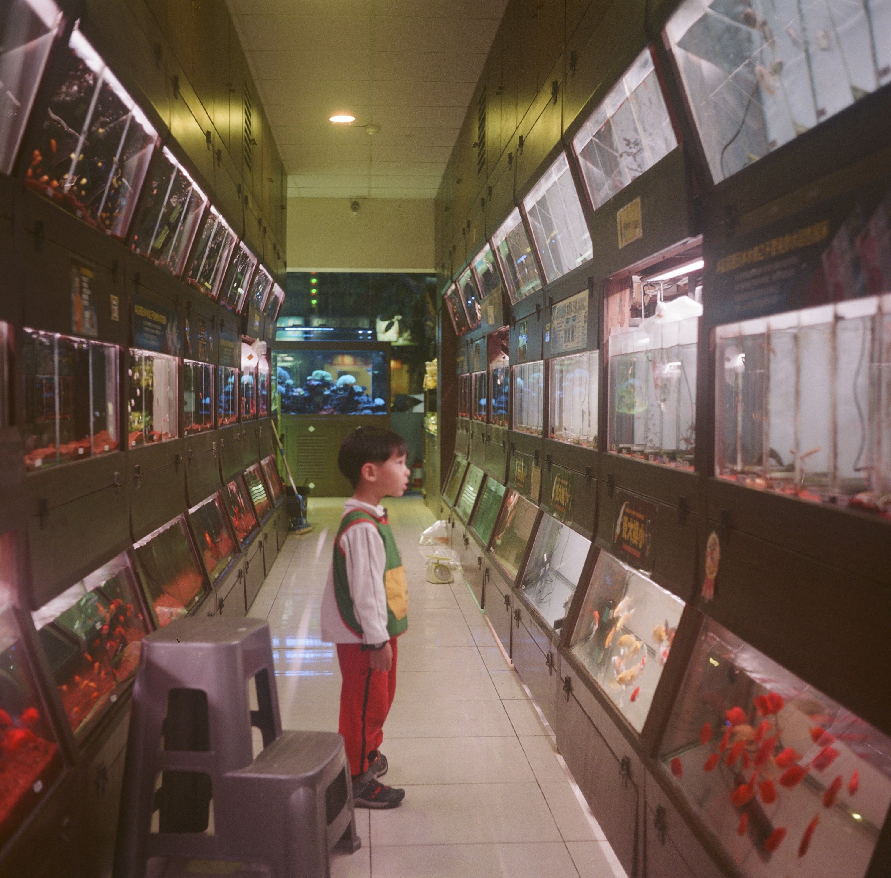 EP145 強迫自己拍底片｜Olympus Flex A 3.5 II + Lomography 800 120 彩色底片