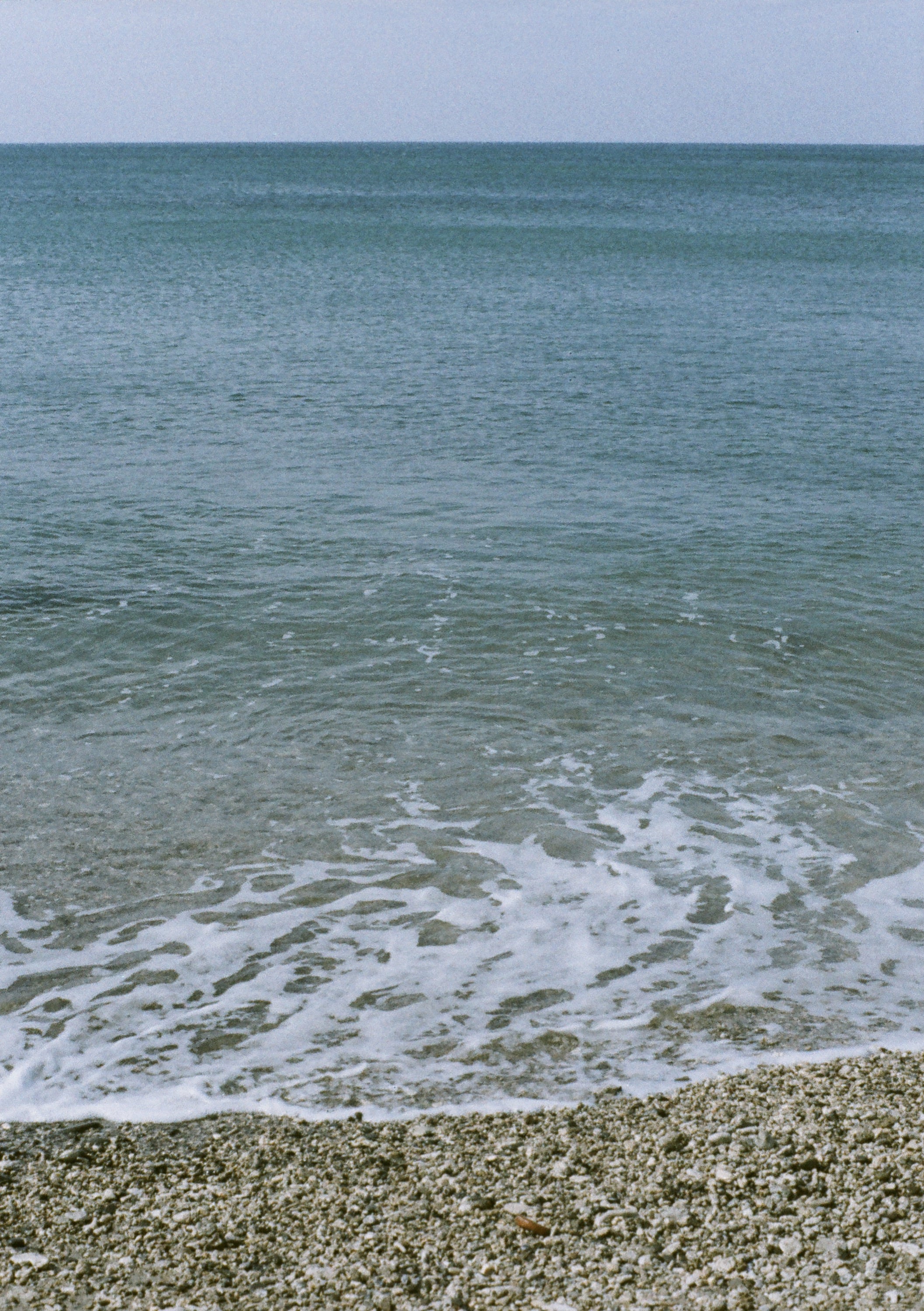 EP158 墾丁萬里桐｜Olympus Pen-FV + ORWO NC400 半格彩色底片