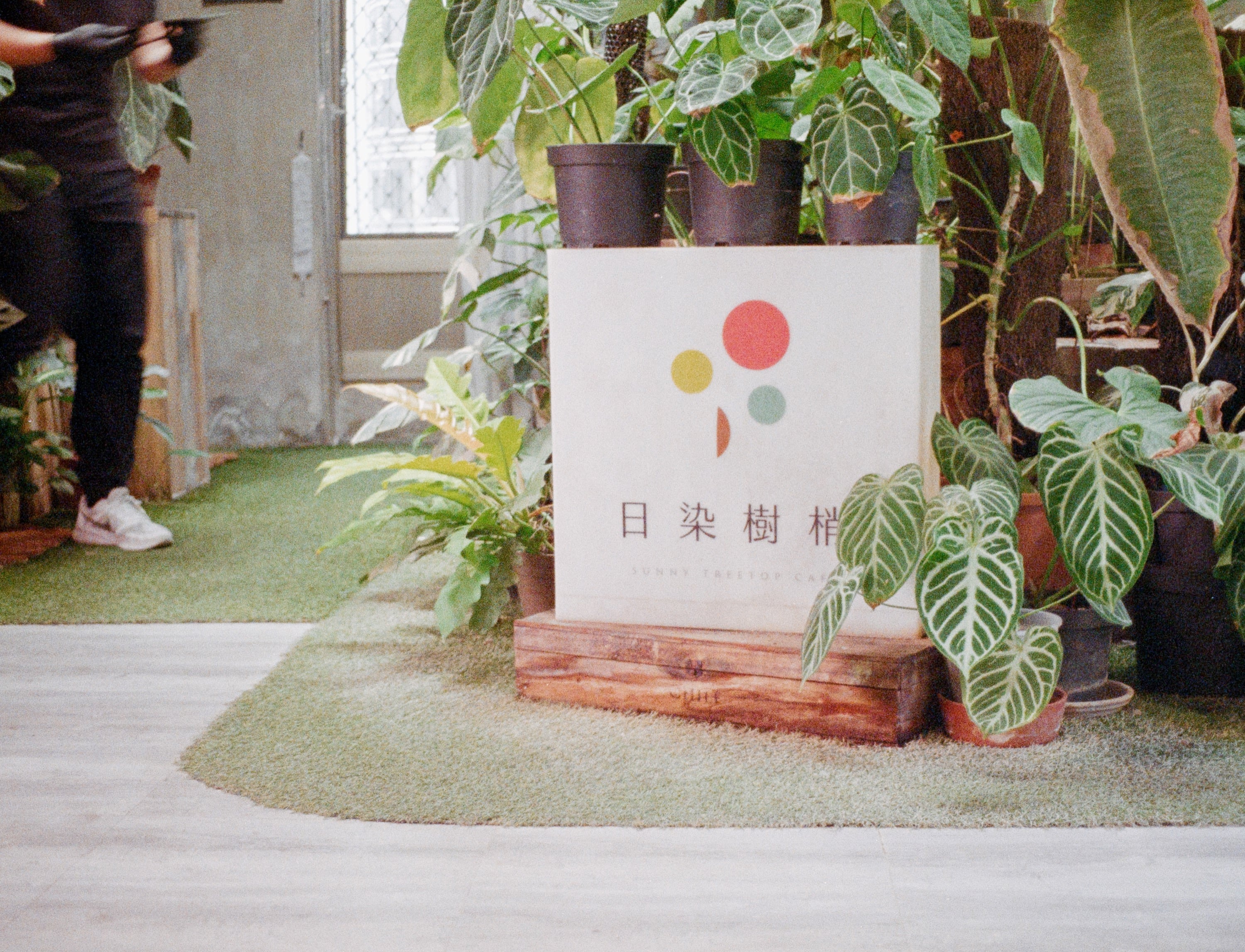 EP186 火棉膠濕版攝影側拍｜Pentax Auto 110 Safari + Lomography Tiger 200 彩色底片