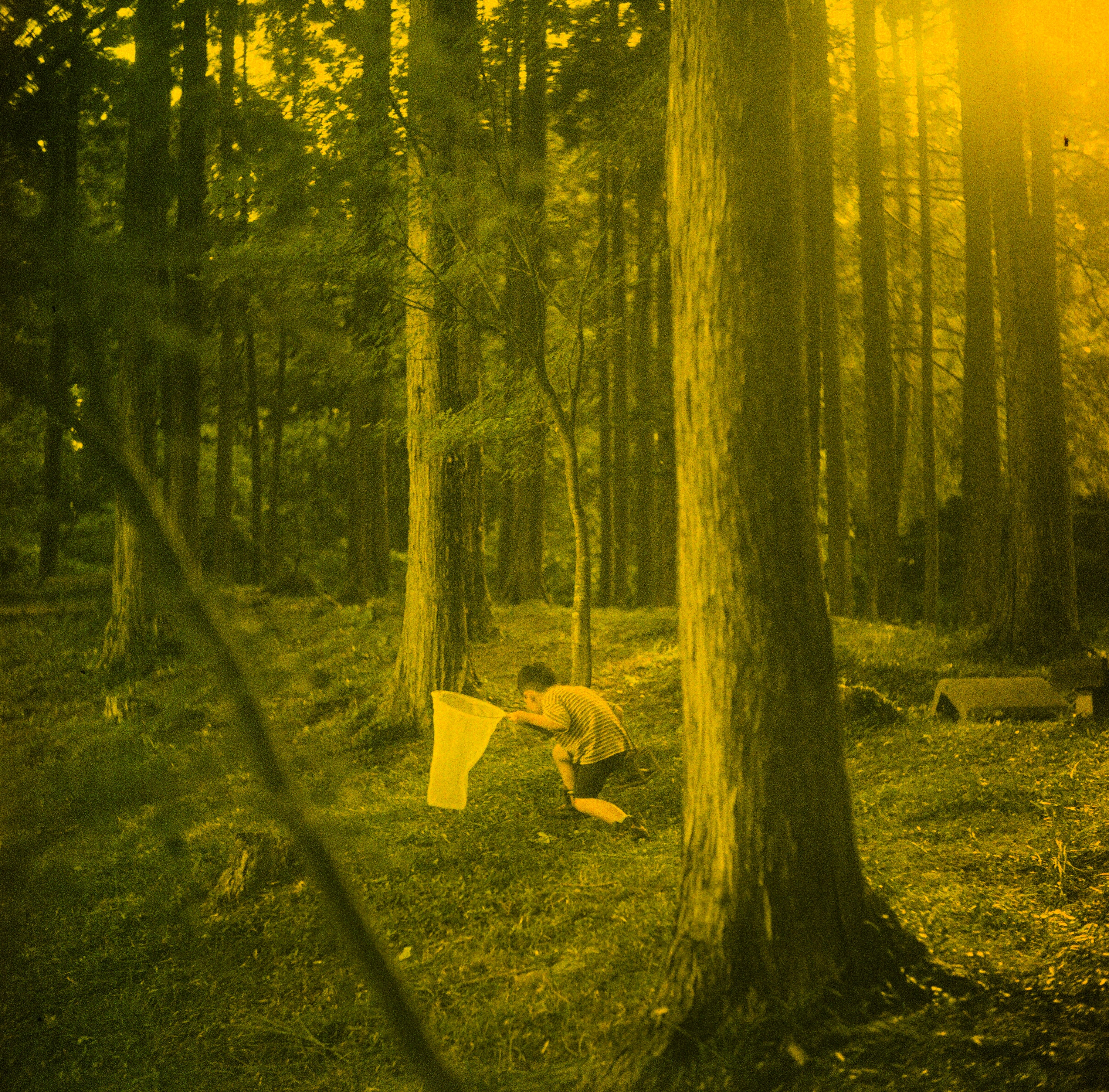 EP208 我們是一家人｜Olympus Flex B II 75mm f2.8 與 Lomography Slide X-Pro 200 120 過期正片負沖