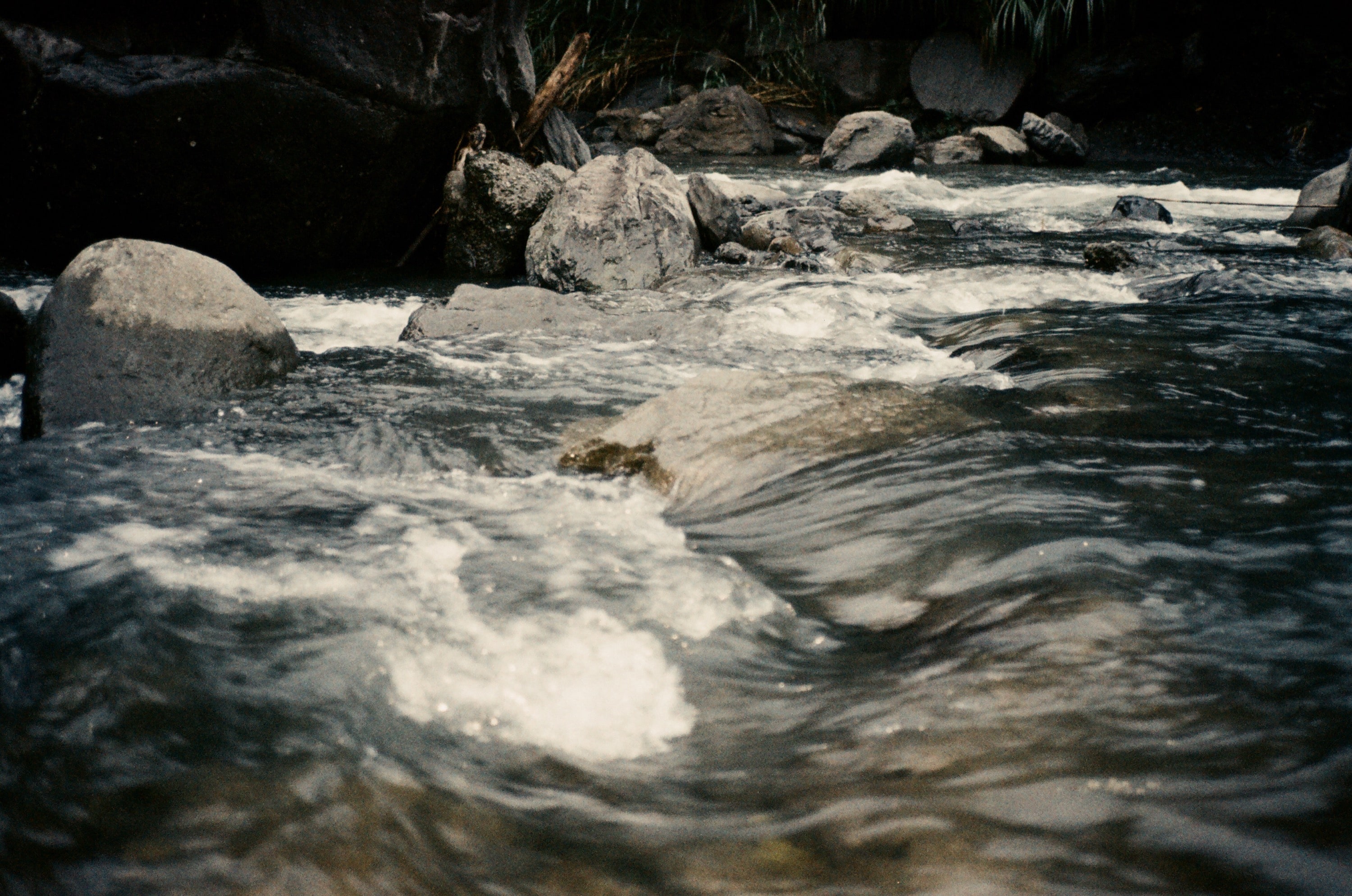 EP225 被承諾所制約了｜Contax T2 38mm f2.8 與 OWRO NC400 135 彩色底片